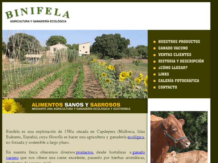 www.binifela.com