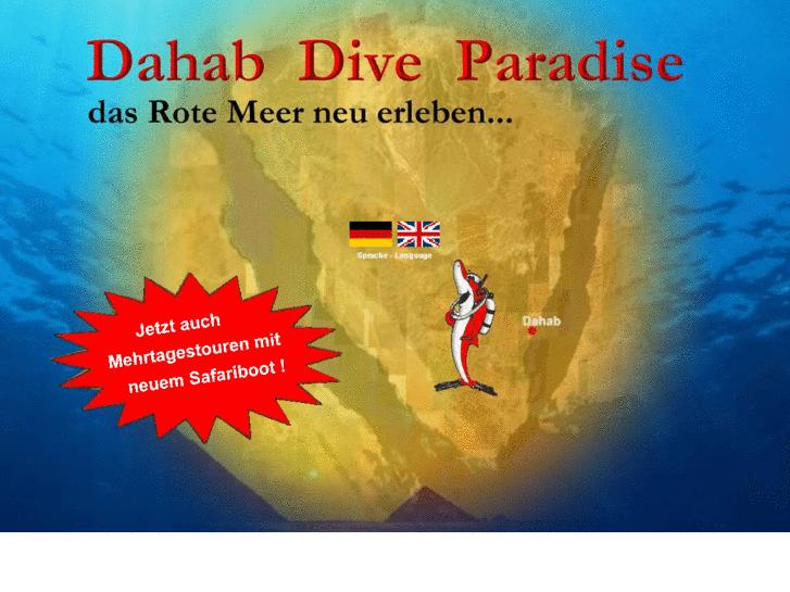 www.dahab-diveparadise.com