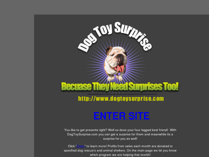 www.dogtoysurprise.com