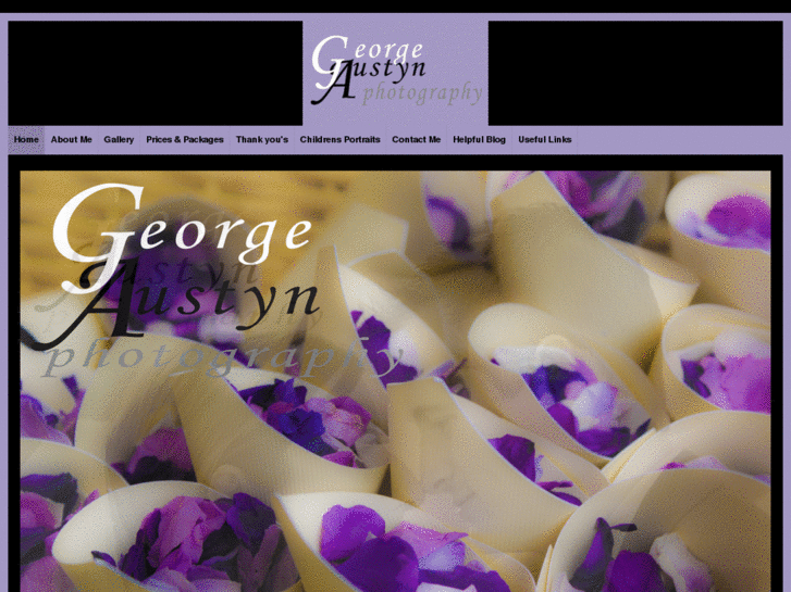 www.georgeaustyn.com