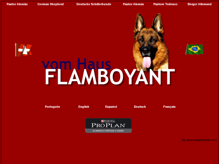 www.haus-flamboyant.com