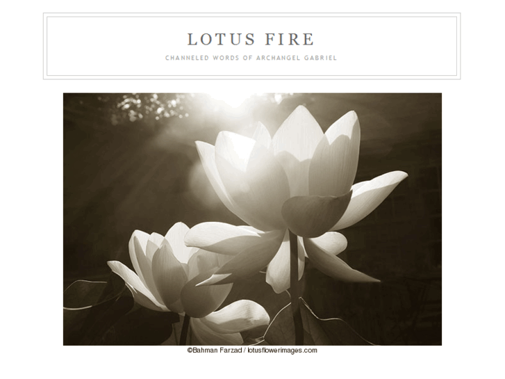 www.lotusfire.net