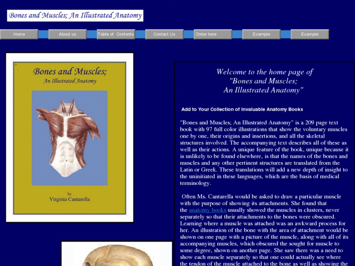 www.cantarellanatomy.com