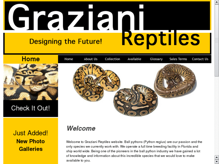 www.greggraziani.com