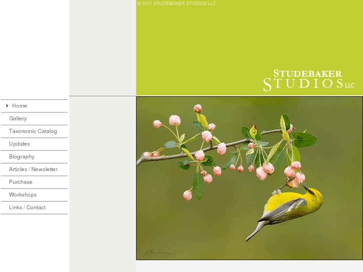 www.studebakerbirds.com