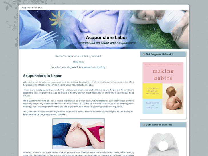 www.acupuncturelabor.com