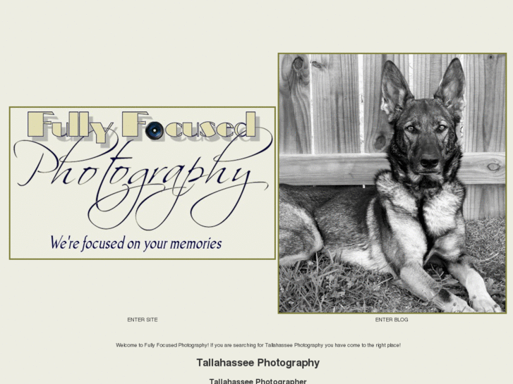 www.fullyfocusedphotography.com