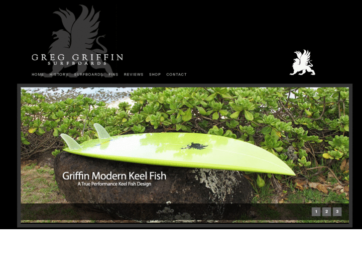 www.griffinsurfboards.com