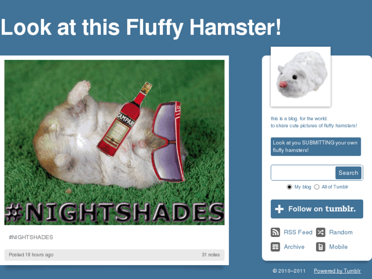 www.lookatthisfluffyhamster.com