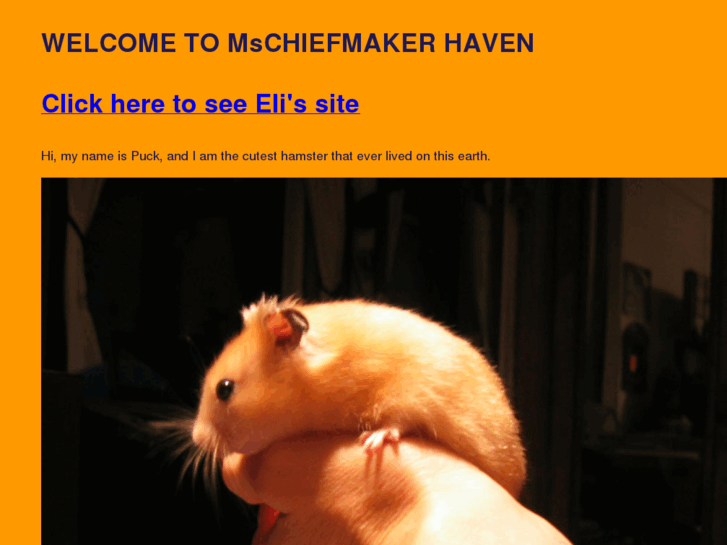 www.mschiefmakerhaven.com