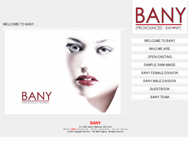 www.thebanyagency.com