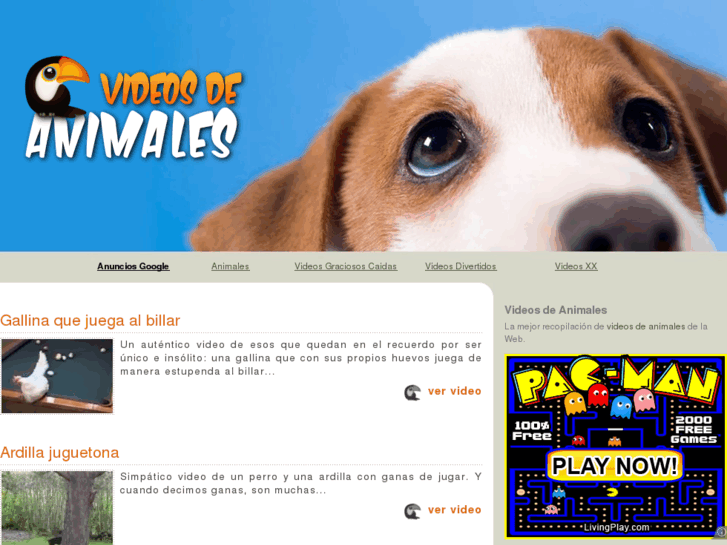 www.videos-de-animales.com