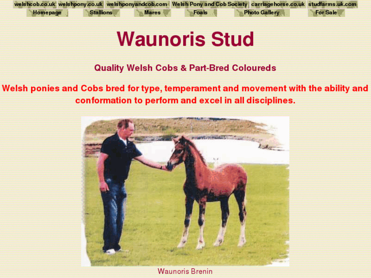 www.waunoris.com