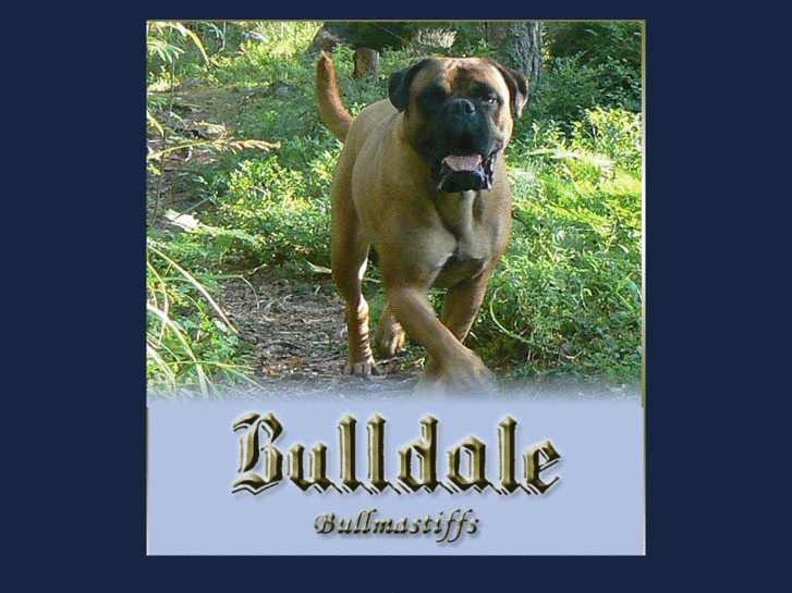 www.bulldale.net