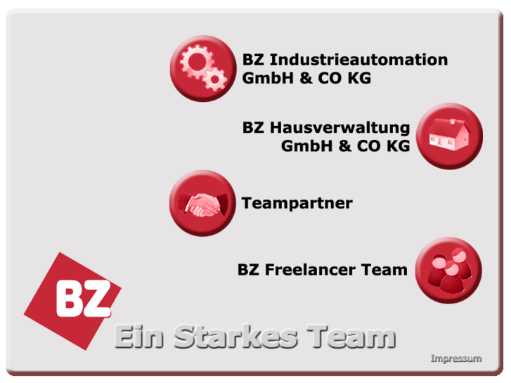 www.bz-team.com