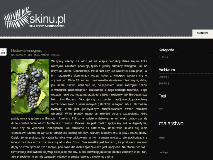 www.skinu.pl