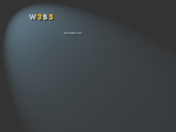 www.w3b5.com