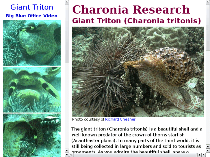 www.charonia.com