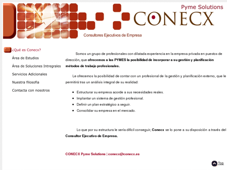 www.conecx.es