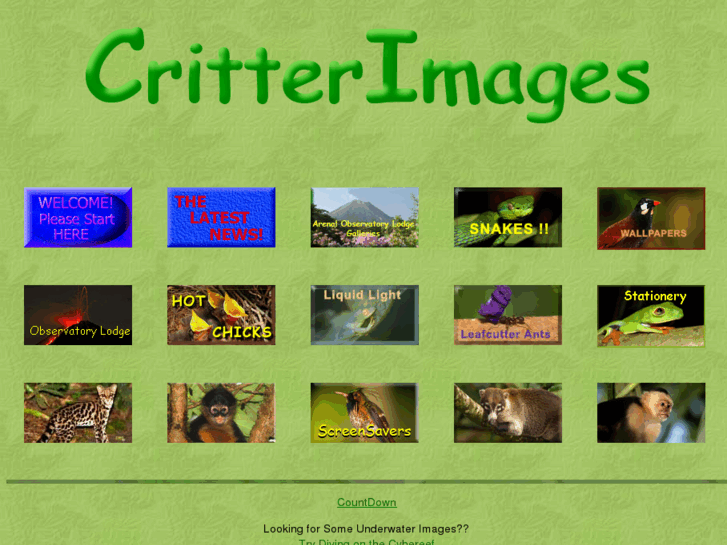 www.critterimages.com