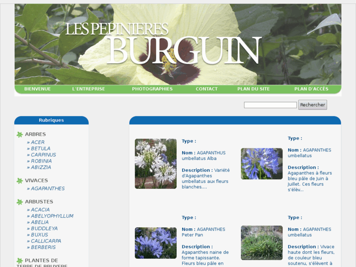 www.pepinieres-burguin.com