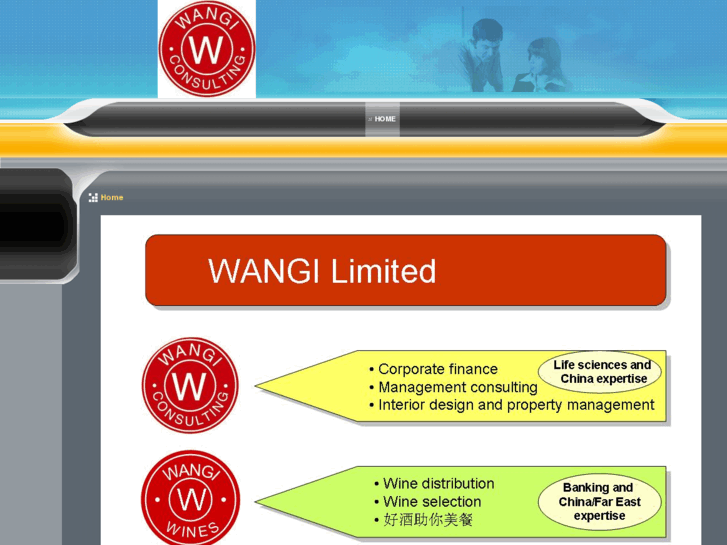 www.wangi.co.uk