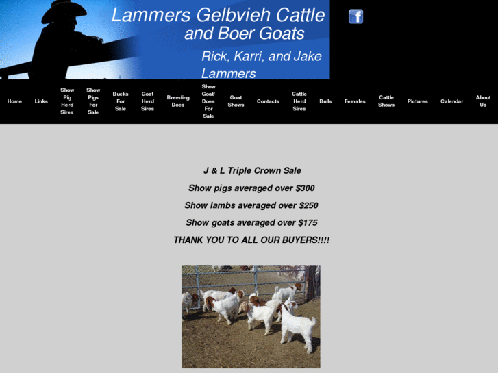 www.lammersgelbviehcattleandboergoats.com