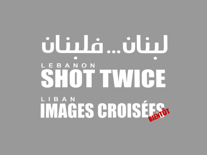 www.lebanonshottwice.com