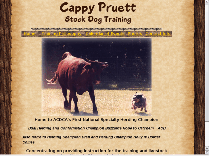 www.cappypruett.com