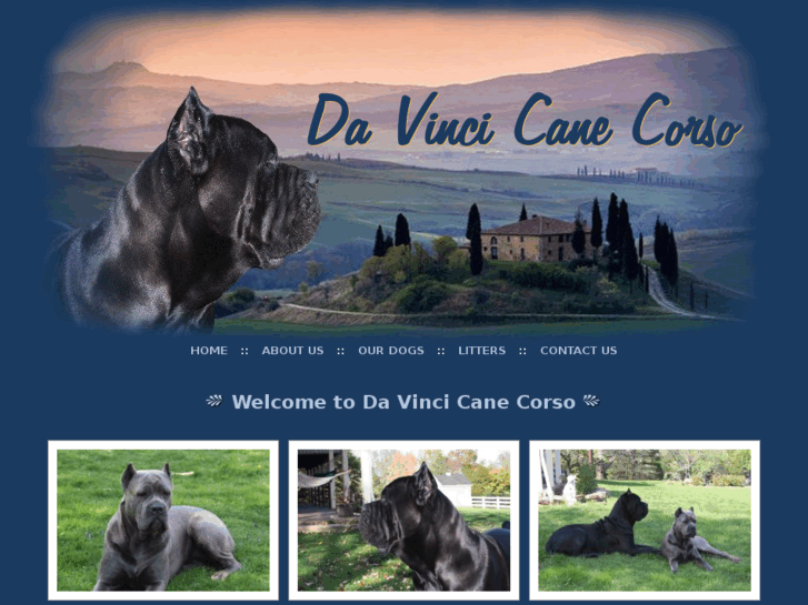 www.davincicanecorso.com