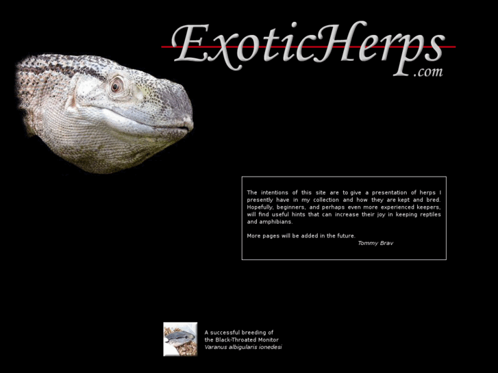 www.exoticherps.com