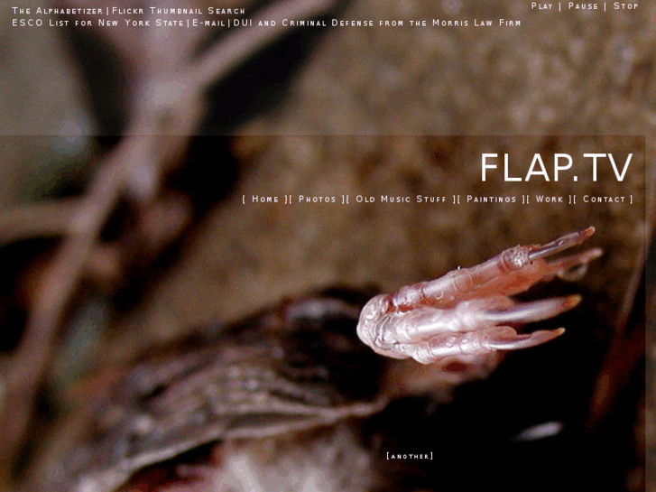 www.flap.tv