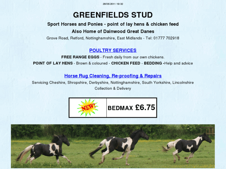 www.greenfields-stud.co.uk