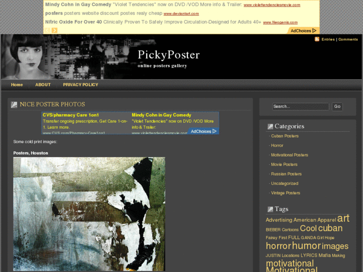 www.pickyposter.com