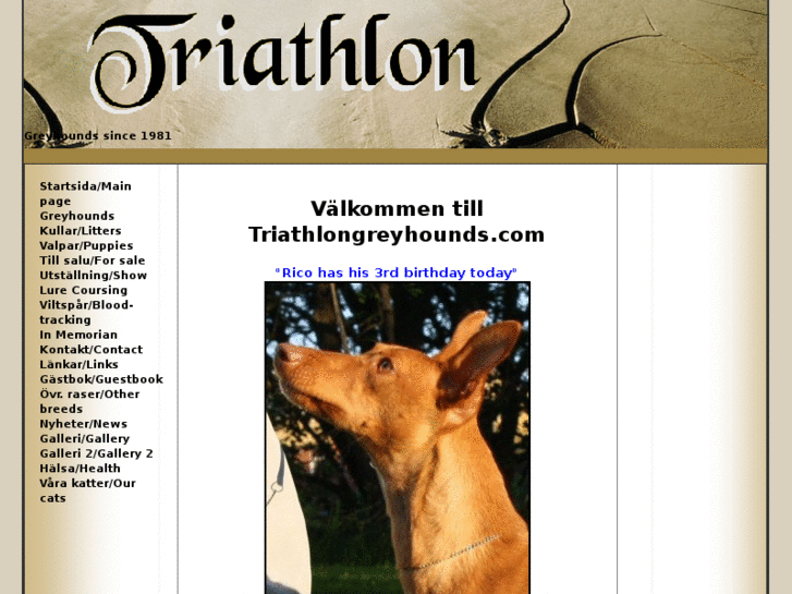 www.triathlongreyhounds.com