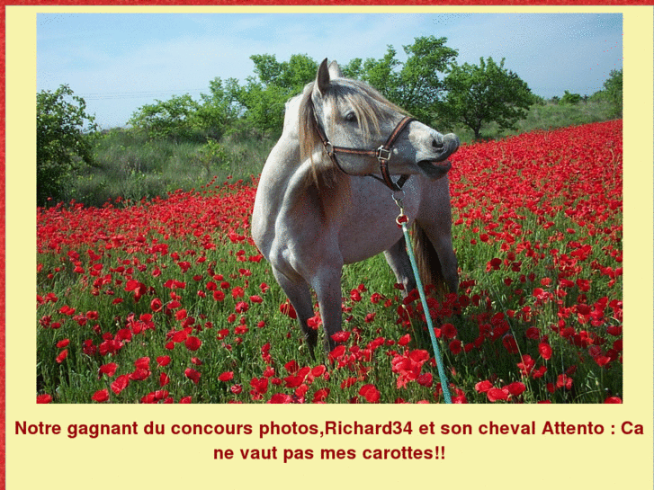 www.chevaux-dressage-iberiques.com