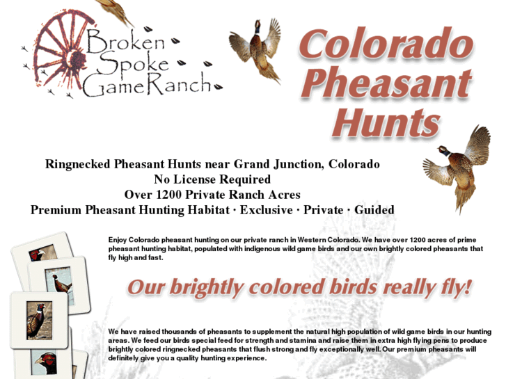 www.coloradopheasanthunts.com