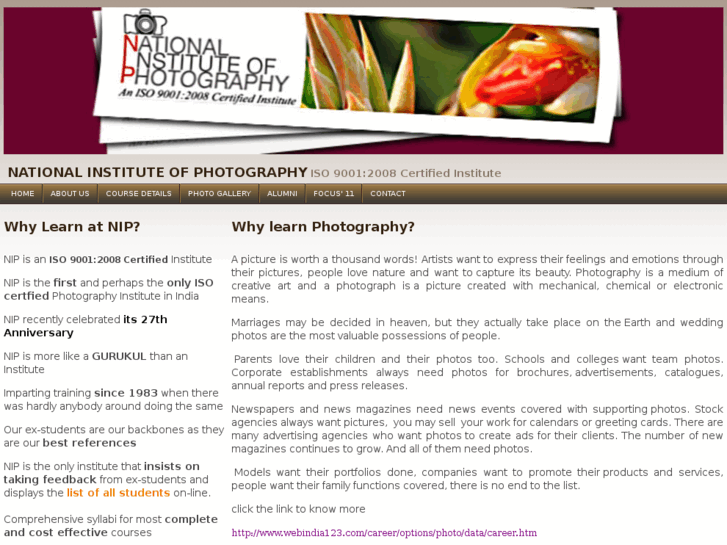 www.focusnip.com