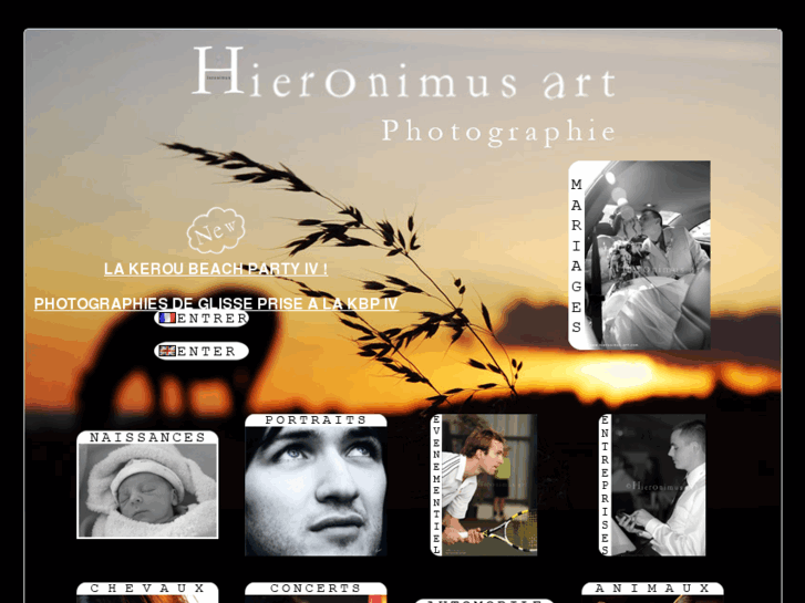 www.hieronimus-art.com