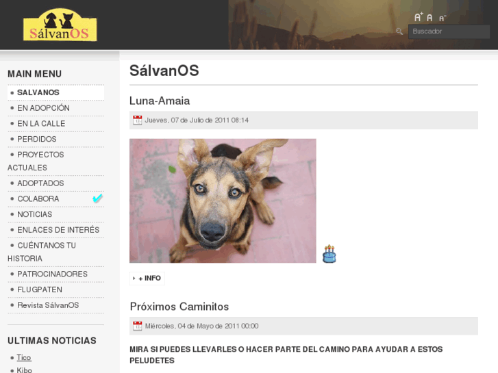 www.salvanos.es