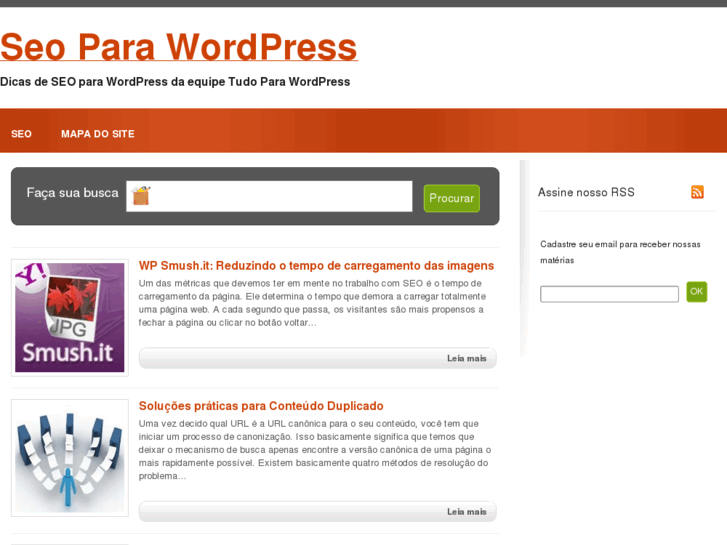 www.seoparawordpress.com.br