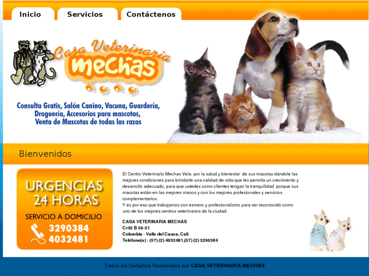 www.casaveterinariamechas.com