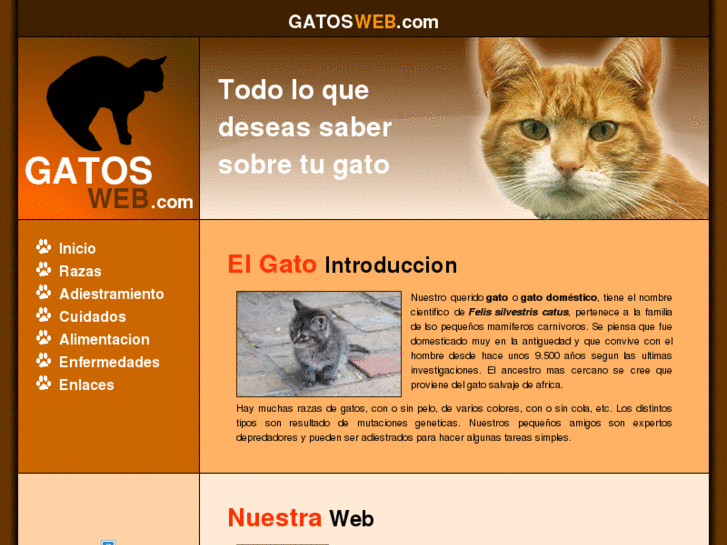 www.gatosweb.com