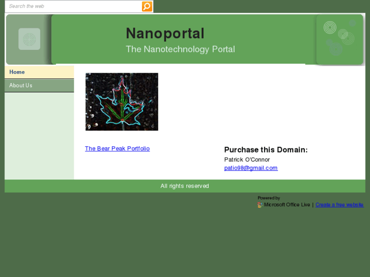 www.nanoportal.com