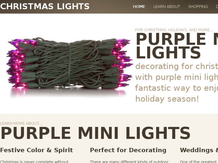 www.purpleminilights.com