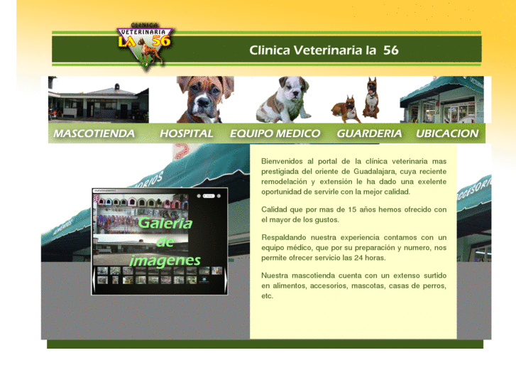 www.veterinariala56.com