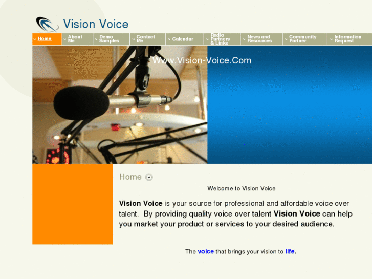 www.vision-voice.com