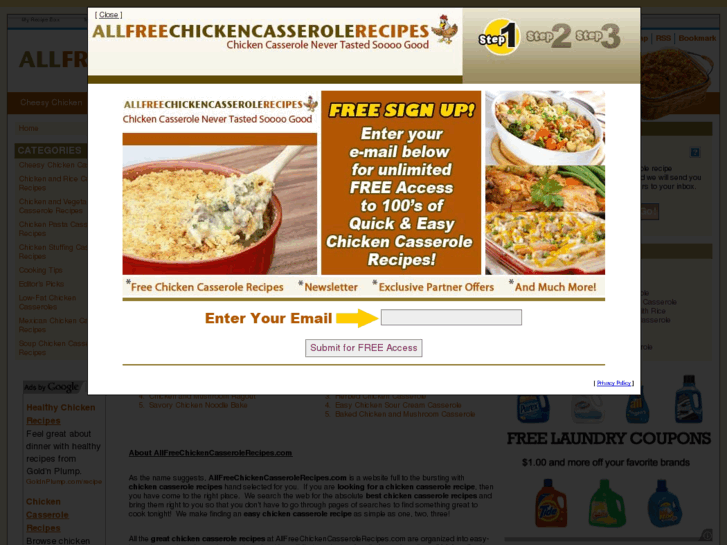 www.allfreechickencasserolerecipes.com