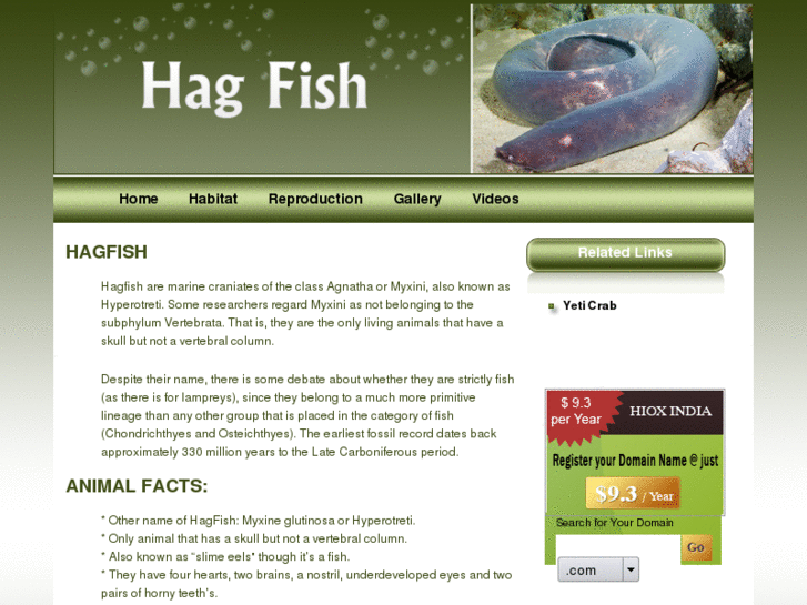 www.hagfishguide.com