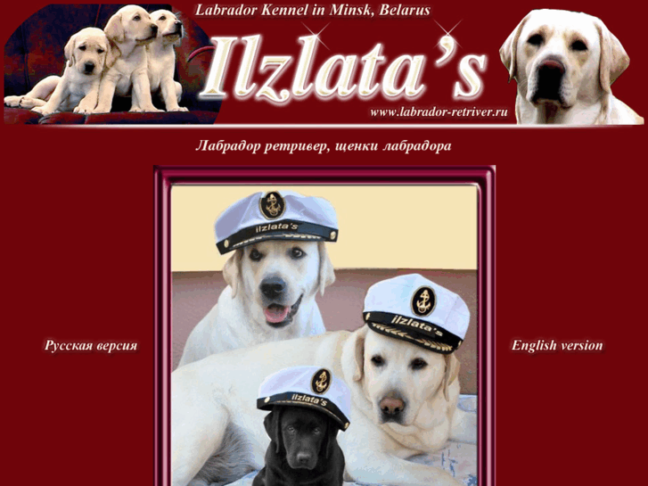 www.labrador-retriver.ru